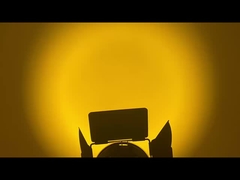 WW CW ضوء الفوهة LED